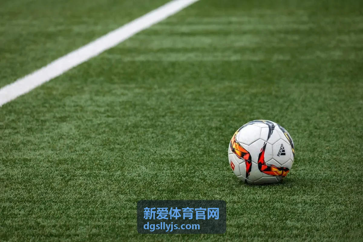 新爱体育-会员管理与营销系统