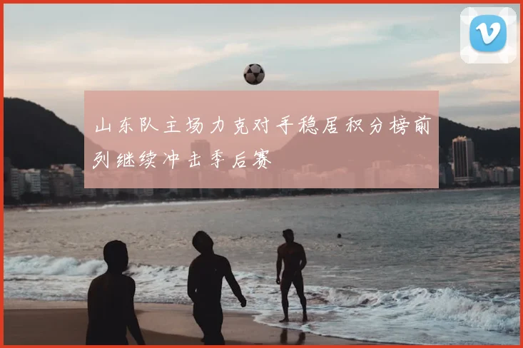 山东队主场力克对手稳居积分榜前列继续冲击季后赛