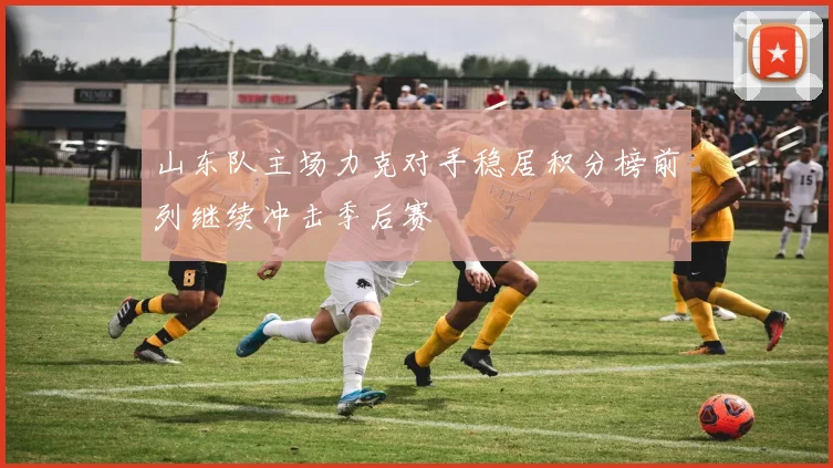 山东队主场力克对手稳居积分榜前列继续冲击季后赛