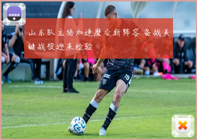 山东队主场加速磨合新阵容 备战关键战役迎来检验