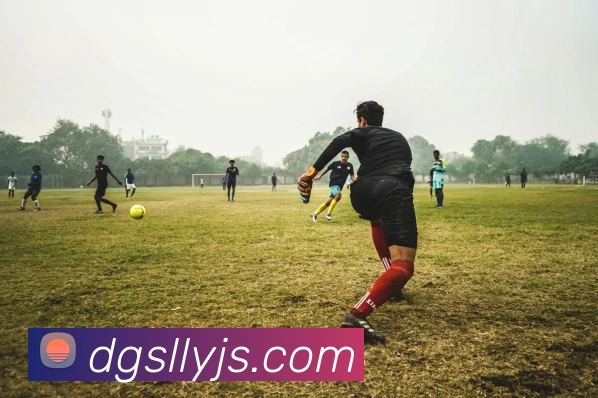 在线买世界杯平台平台生态图