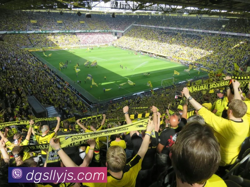 在线买世界杯平台APP 封面图